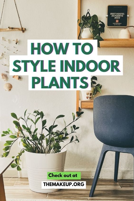 How to Arrange Indoor Plants