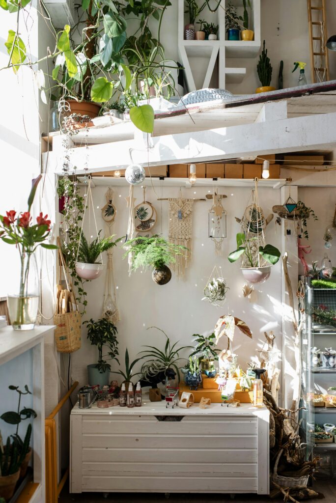 How to Arrange Indoor Plants