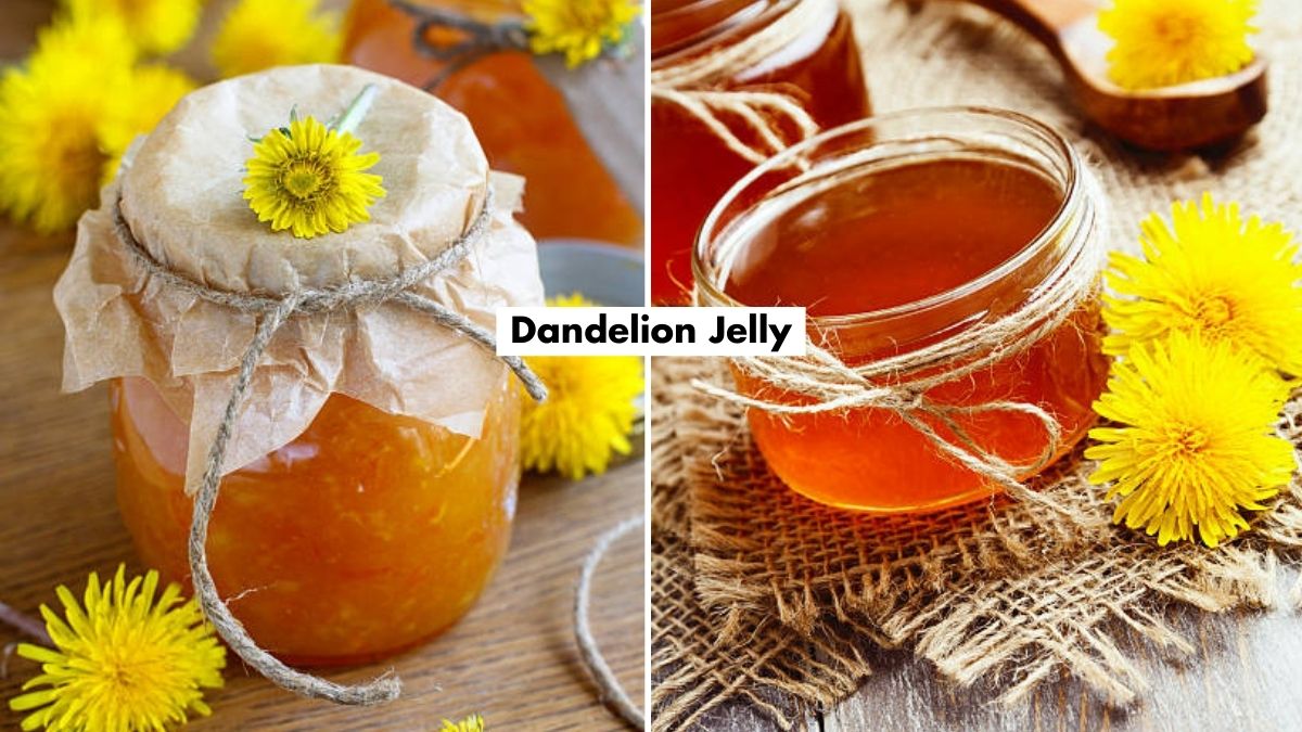 dandelion jelly