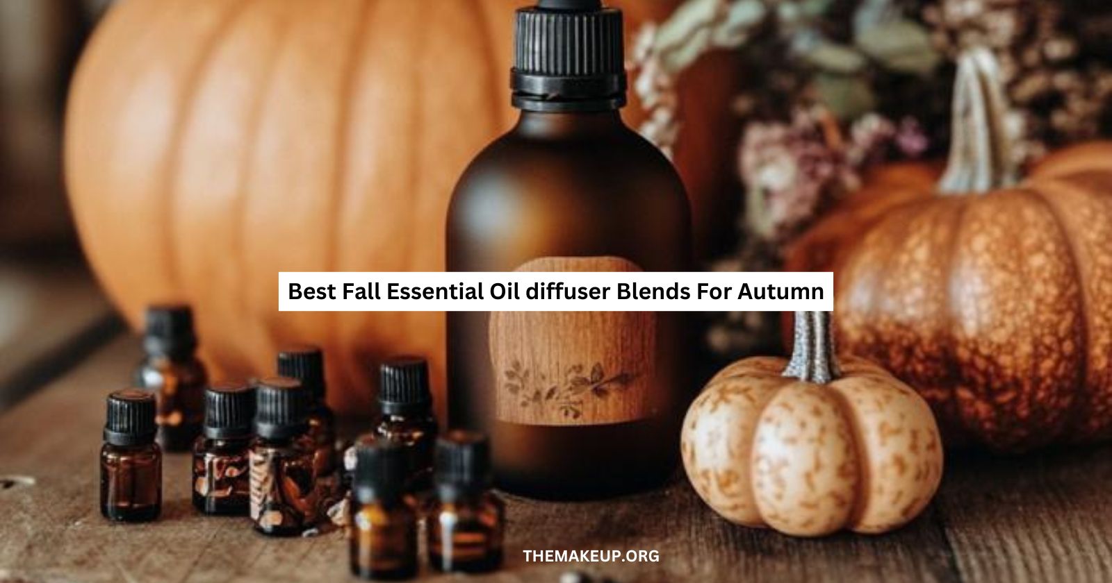 Best Fall Essential Oil diffuser Blends For Autumn