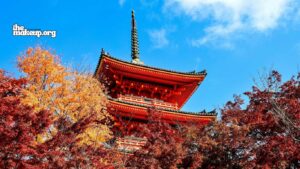 What To Pack Japan Fall