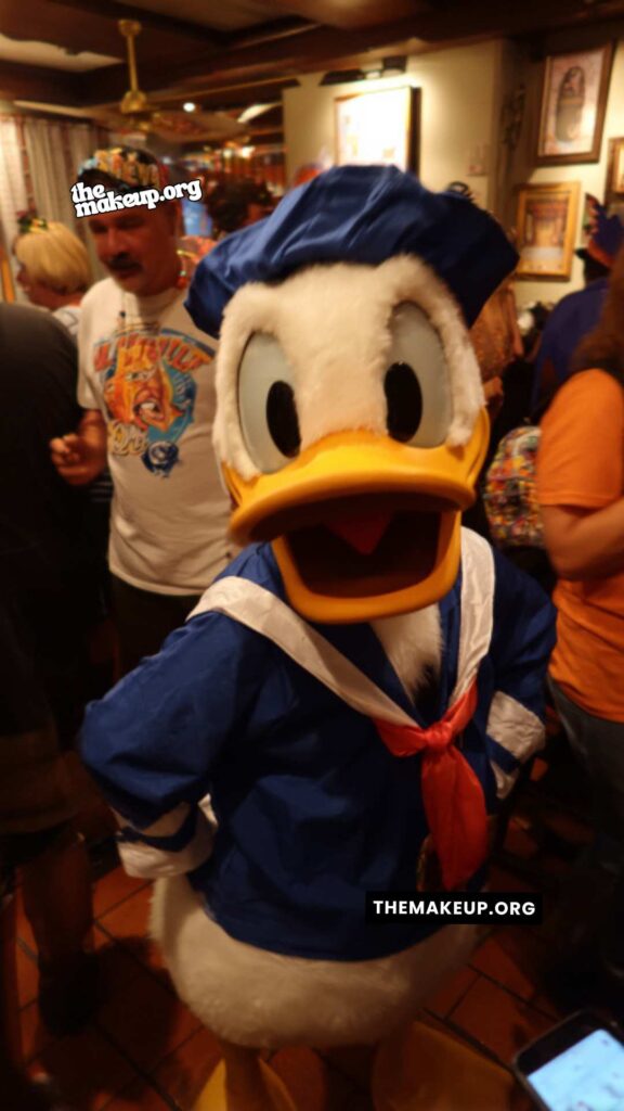 Donald Duck halloween costume