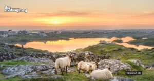 what to pack Ireland winter packing list guide