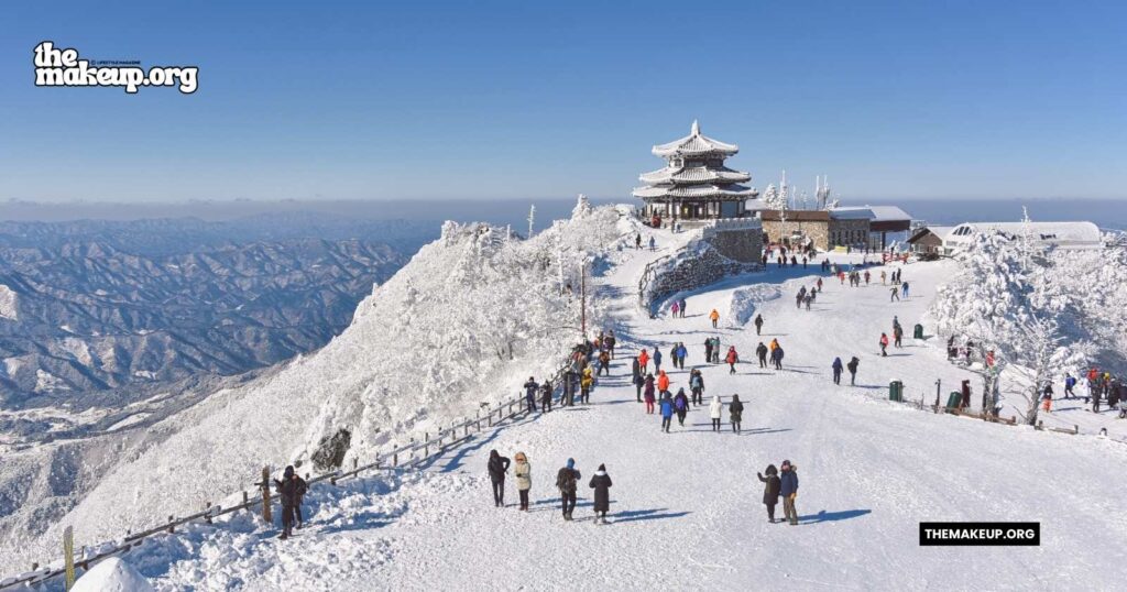 what to pack Korea december packing list guide