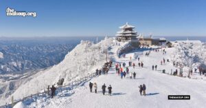 what to pack Korea december packing list guide