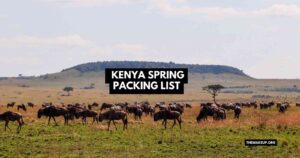 Kenya Autumn Packing List feat.jpg
